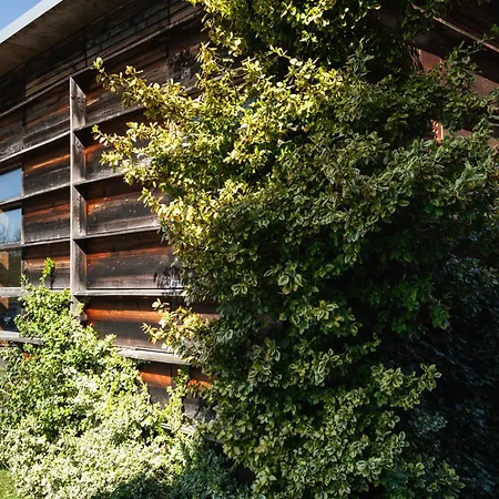 Holiday home Badeanstalt I Loft Nuernberg I 5 Minuten Zu Fuss Zum Kostenlosen Naturbad I Messenaehe I Waldnaehe *